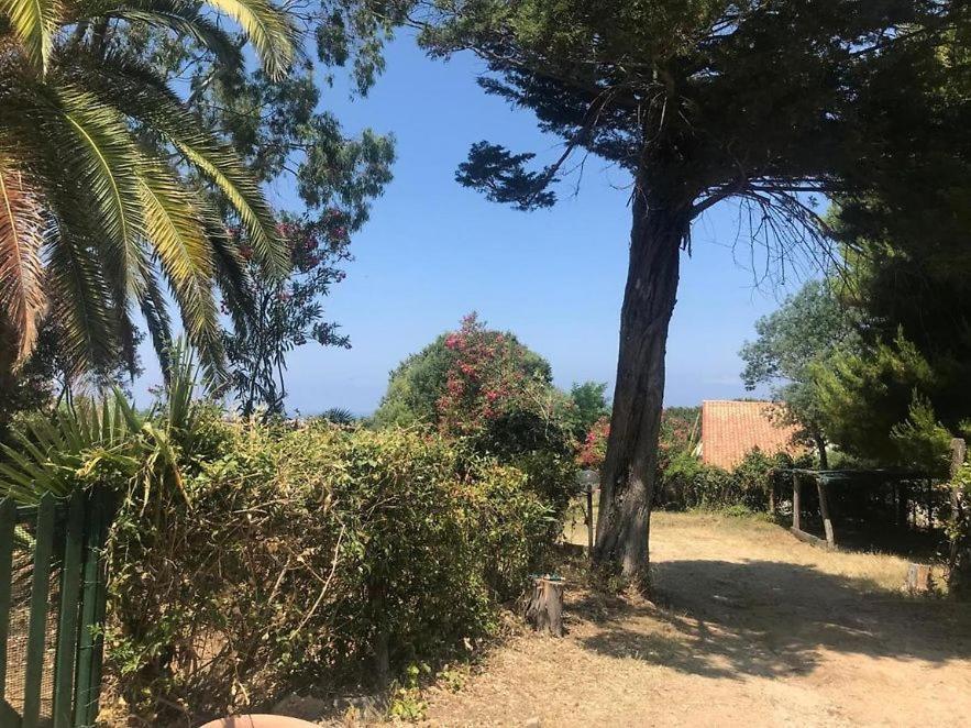 Aparthotel Residenza Crivo Parghelia Exterior foto